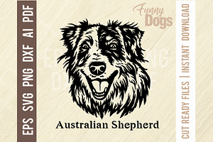 Australian Shepherd - Funny Dog