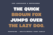 Pumpking Friendly Typeface, a Sans Serif Font by alpercakici (Thumbnail 16 of 17)