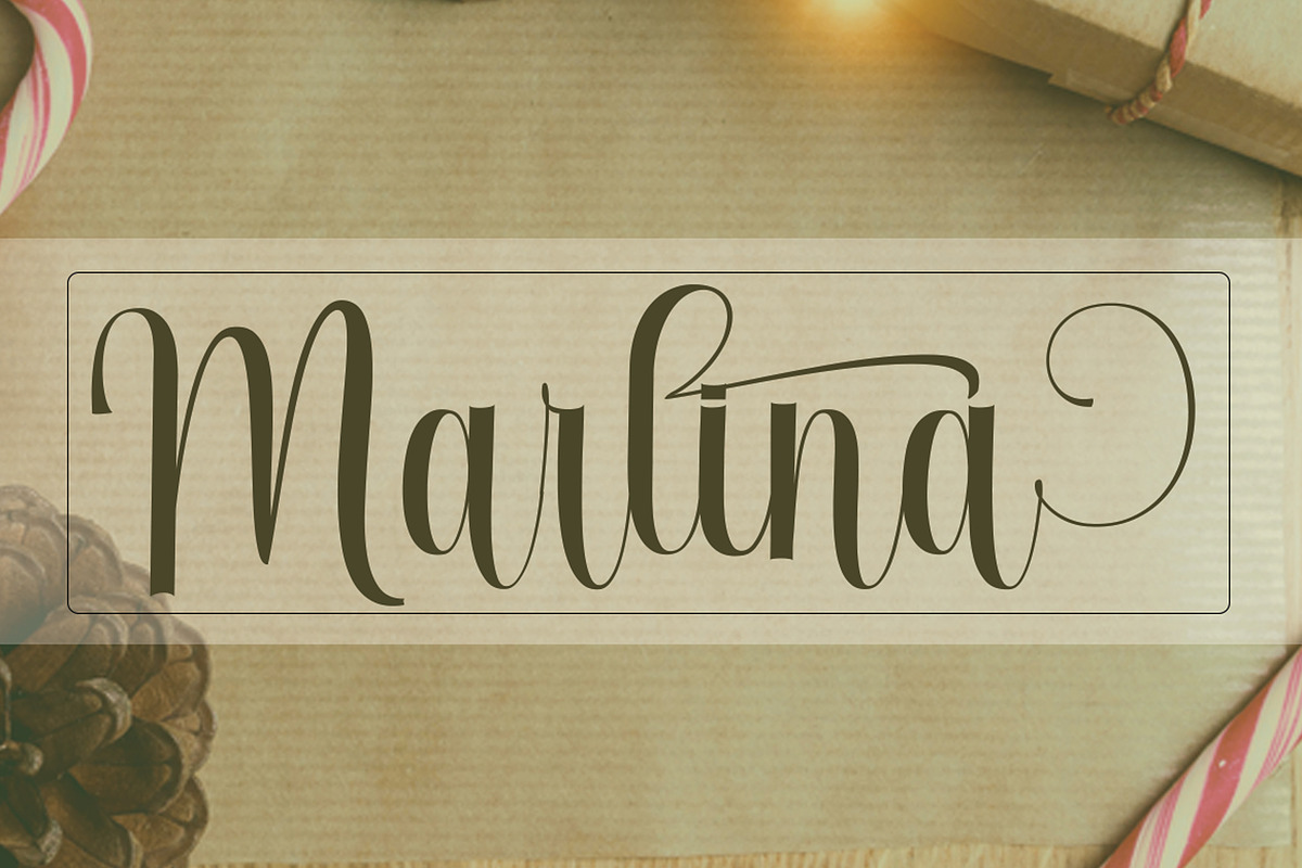 Cattenella, a Script Font by PollemSt (Photo 4 of 7)