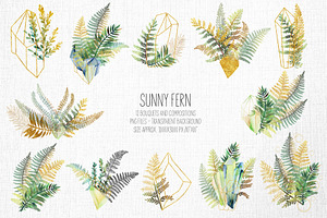 Sunny Fern Collection