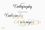 Arsenio Script, a Script Font by Adam Azura (Thumbnail 2 of 9)