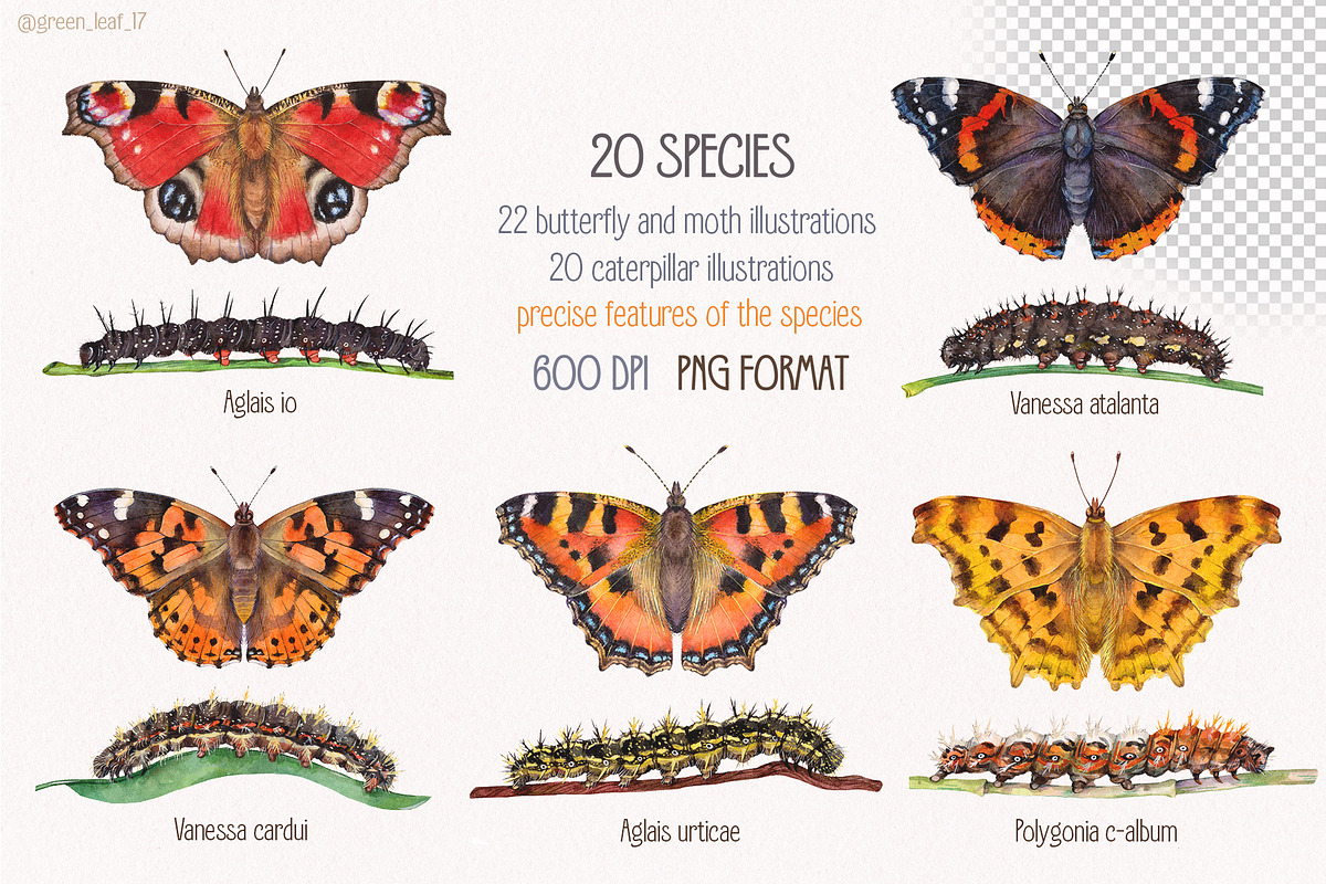 Watercolor butterflies, an Illustration by Green_leaf_17 (Photo 2 of 6)