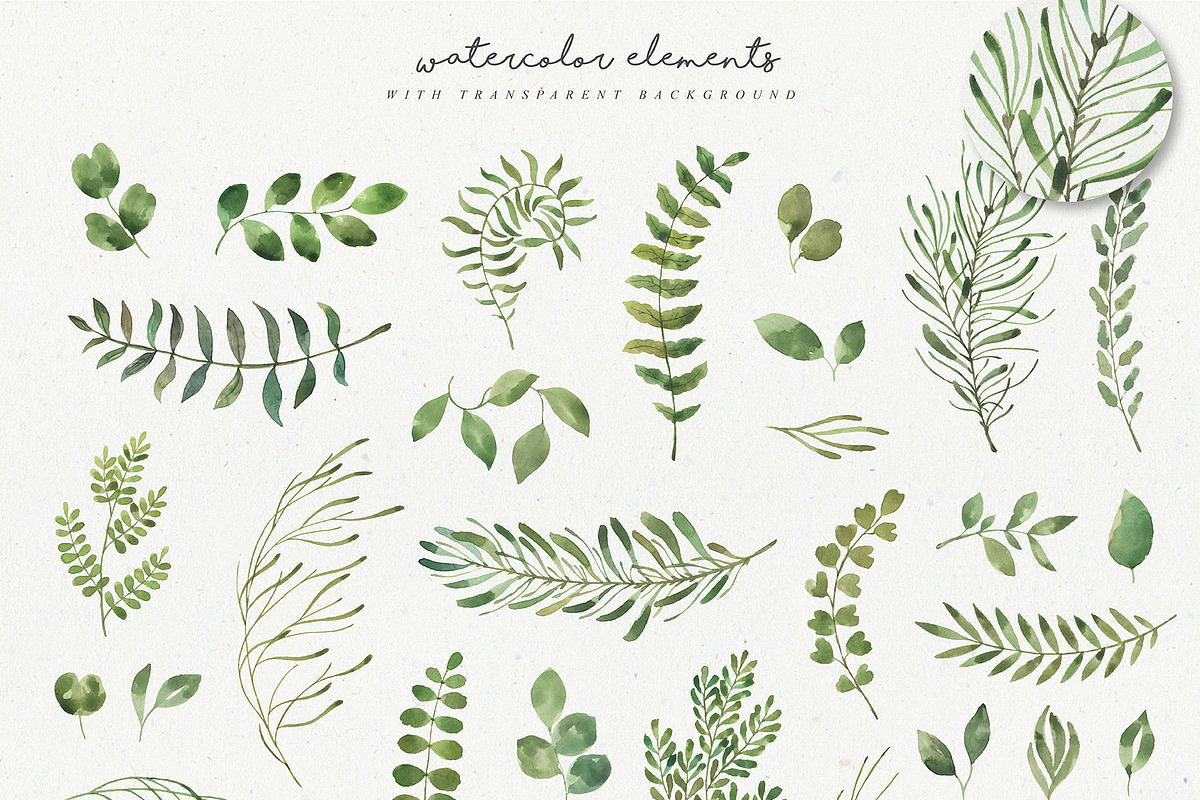 Leafy Leaf Collection, an Animal Illustration by Julia Dreams (Photo 6 of 7)