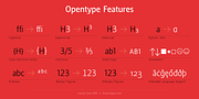 Lavina Sans PRO, a Sans Serif Font by preussTYPE (Thumbnail 3 of 9)