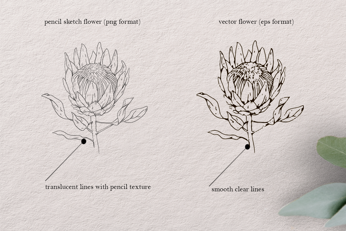 Spring flowers - pencil sketch set, a Decorative Illustration by Marine art (Photo 7 of 7)