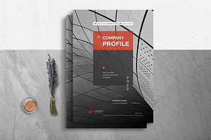 Company Profile