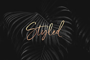 Serendipity Handwritten Font, a Script Font by Nicky Laatz (Thumbnail 15 of 18)