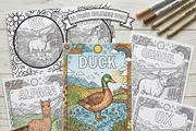 Farm Animal Coloring Book for Kids, an Education Illustration by Mohammad Sarfaraz (Thumbnail 2 of 11)