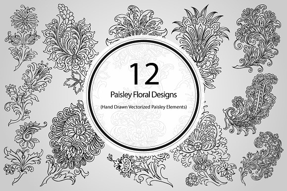 12 Paisley Floral Designs (Vector) preview 6