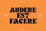 Gestur Display Font, a Sans Serif Font by Say Studio (Thumbnail 8 of 15)