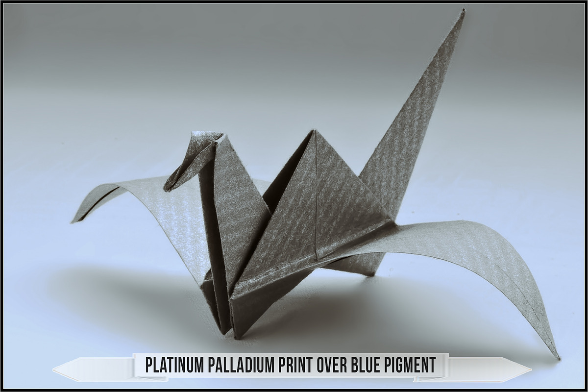 Platinum Palladium Prints LUTs, a Plug-in Add-On by Raztrend (Photo 11 of 32)