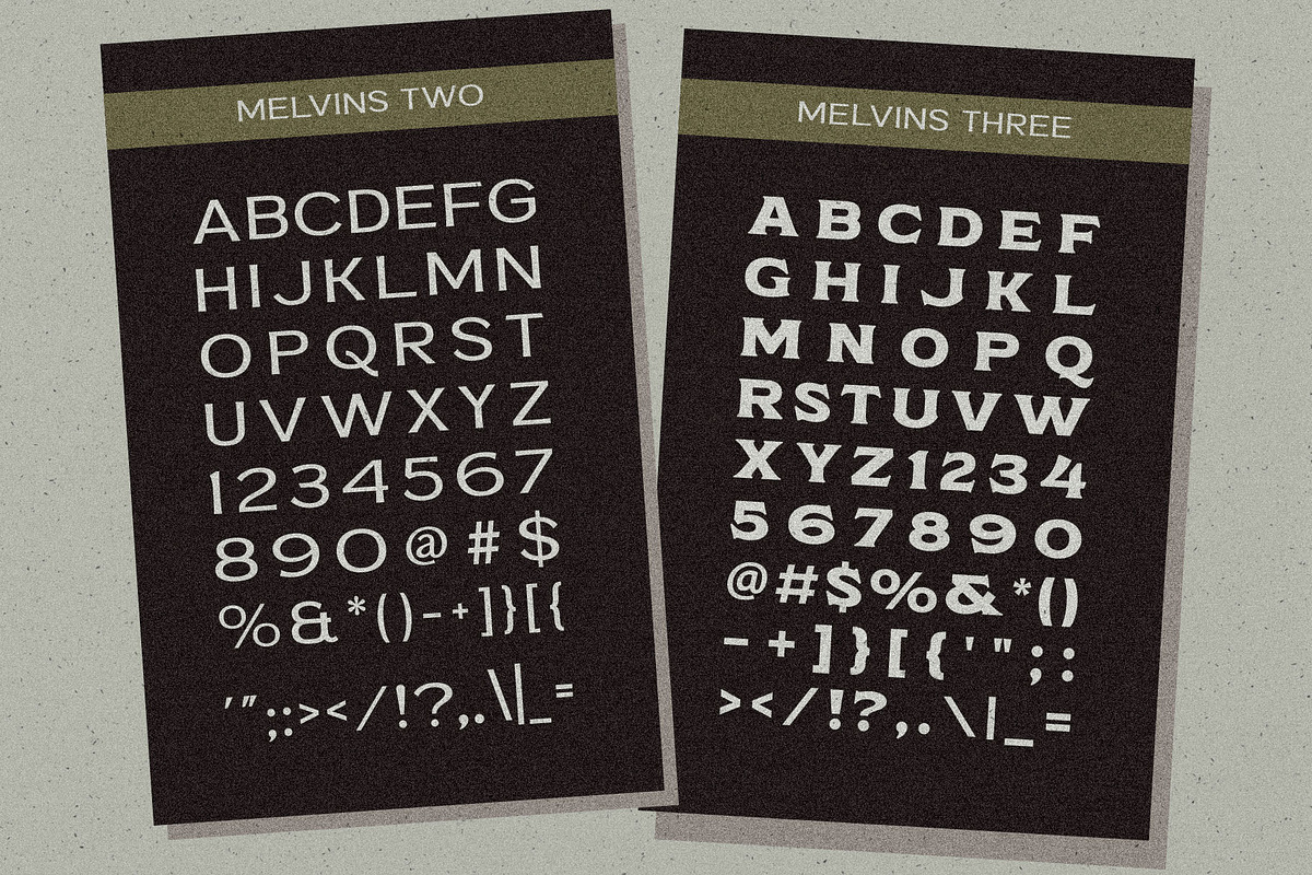 Melvins - Font Set, a Serif Font by Arterfak Project (Photo 8 of 12)
