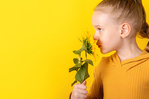 Young girl with blond hair holding and smelling a sunflower agai, a Person Photo by Ales Munt