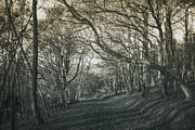 25 Dual Tone Landscape Presets, a Preset Add-On by Timeless Presets (Thumbnail 2 of 10)