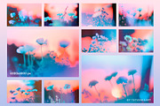 Dreamy Bloom Collection, a Background Graphic by tatiankaart (Thumbnail 4 of 10)