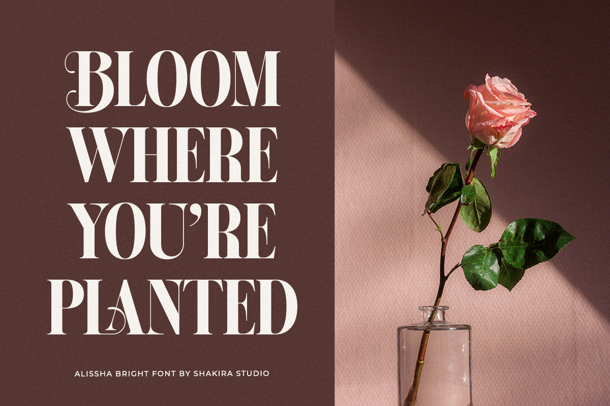 Alissha Bright - Modern Serif, a Serif Font by Shakira Studio (Photo 7 of 10)