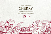 Cherry Vector Collection, a Food Illustration by Lubov Illustrations Shop (Thumbnail 1 of 7)
