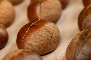 preparation by cutting the shells of edible chestnut nuts for baking, a Photo by rsoollAI