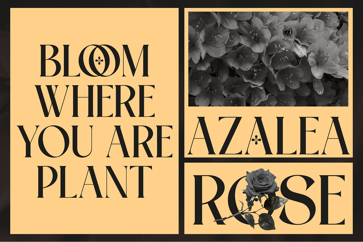 Flangen – Luxury Branding Fonts, a Serif Font by Randi Irvan | Rvandtype (Photo 7 of 12)