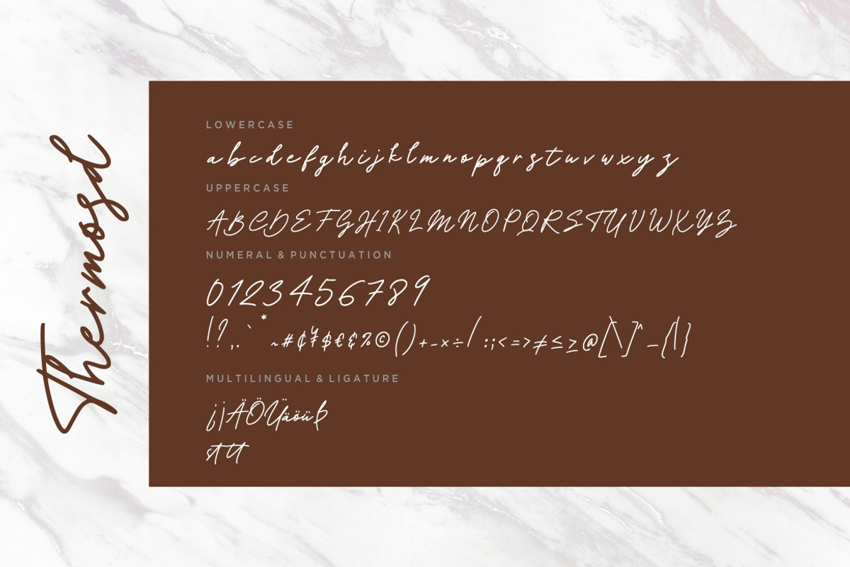 Thermosd Signature Business Font preview 7