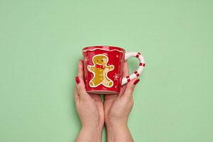 Two female hands holding a red Christmas mug with a gingerbread, a Holiday Photo by ndanko