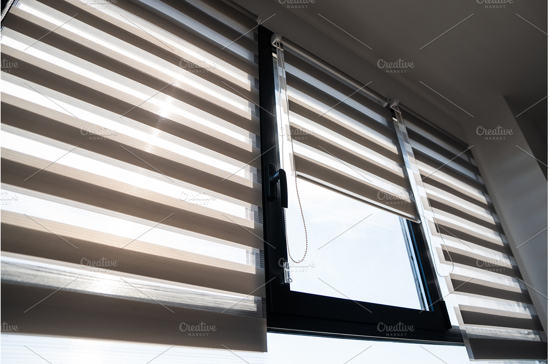 Modern apartment window with zebra, an Architecture Photo by volodymyrshtun13795