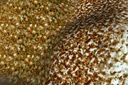 AUTUMN AND WINTER TEXTURE PACK, a Textures & Material 3D Model by Beatheart Creative Studio (Thumbnail 58 of 58)