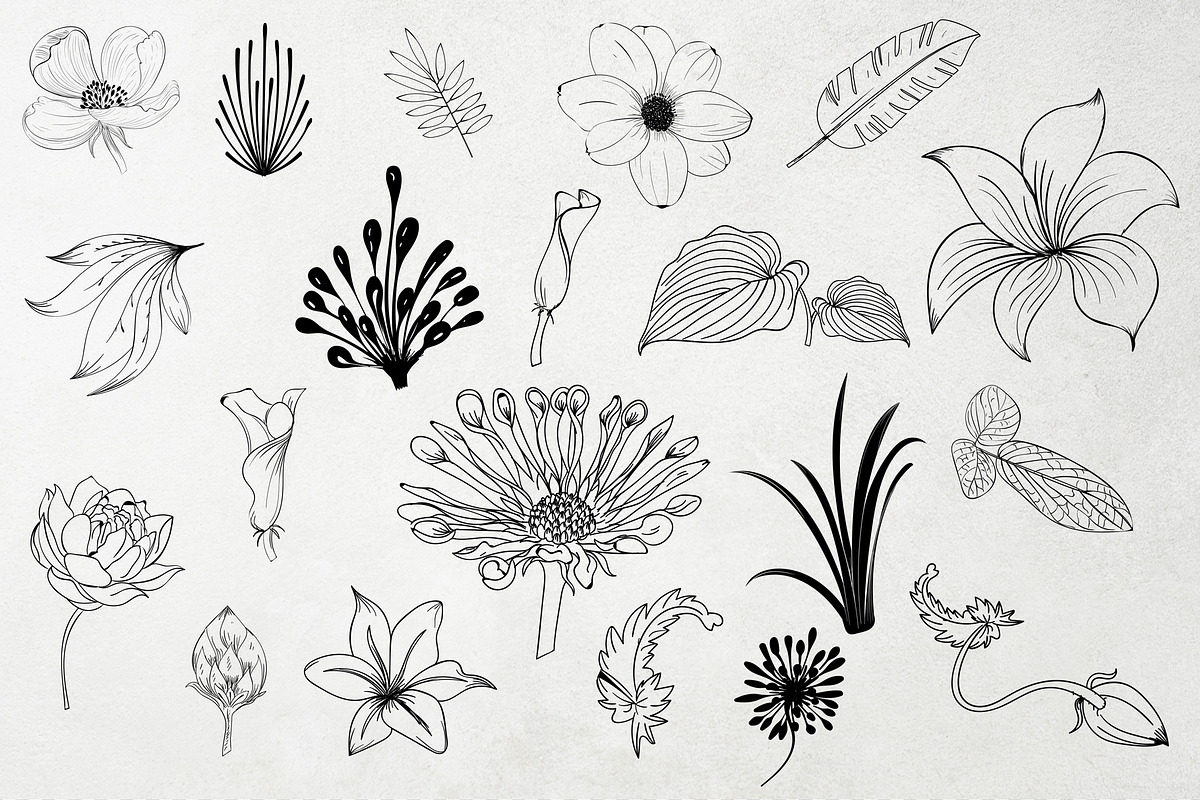 Hand Drawn Flower World, an Illustration by Suvham Roy (Photo 6 of 7)