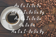 Flint Alpena sans serif font, a Sans Serif Font by TNE Designs (Thumbnail 4 of 5)
