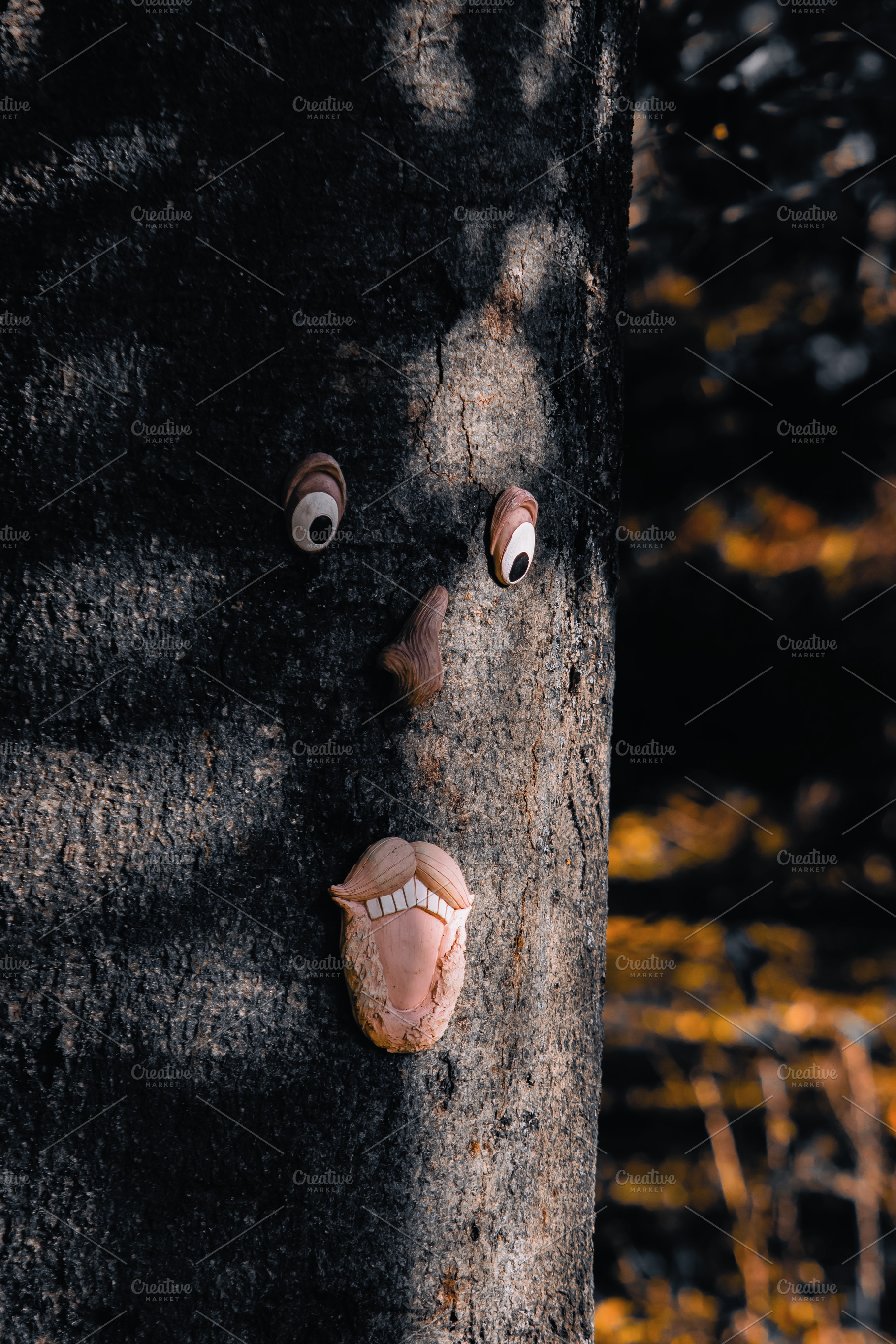 Tree Face, an Arts & Entertainment Photo by jakub_kopecky