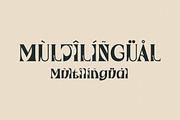 Waflerd Modern Display Font, a Serif Font by Letterena Studios (Thumbnail 12 of 15)