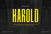 Harold Condensed Font, a Sans Serif Font by Catalystco Studio (Thumbnail 1 of 7)