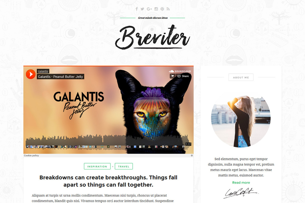 Breviter Pro - handcrafted WP theme, a WordPress Template by designhooks (Photo 3 of 3)