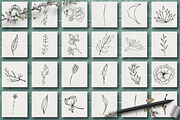 HAND DRAWN FLORAL COLLECTION Vol.3, an Illustration by CARROTDESIGN (Thumbnail 3 of 4)