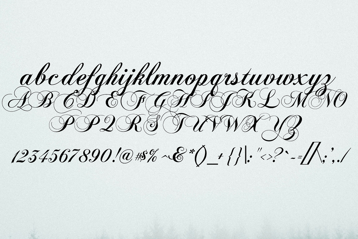Coelogyne Script - Calligraphy Font, a Script Font by Scandy Font (Photo 5 of 6)