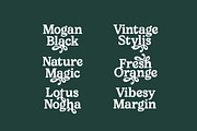 Upland Calling Display Serif, a Serif Font by timelesstype.co (Thumbnail 13 of 20)