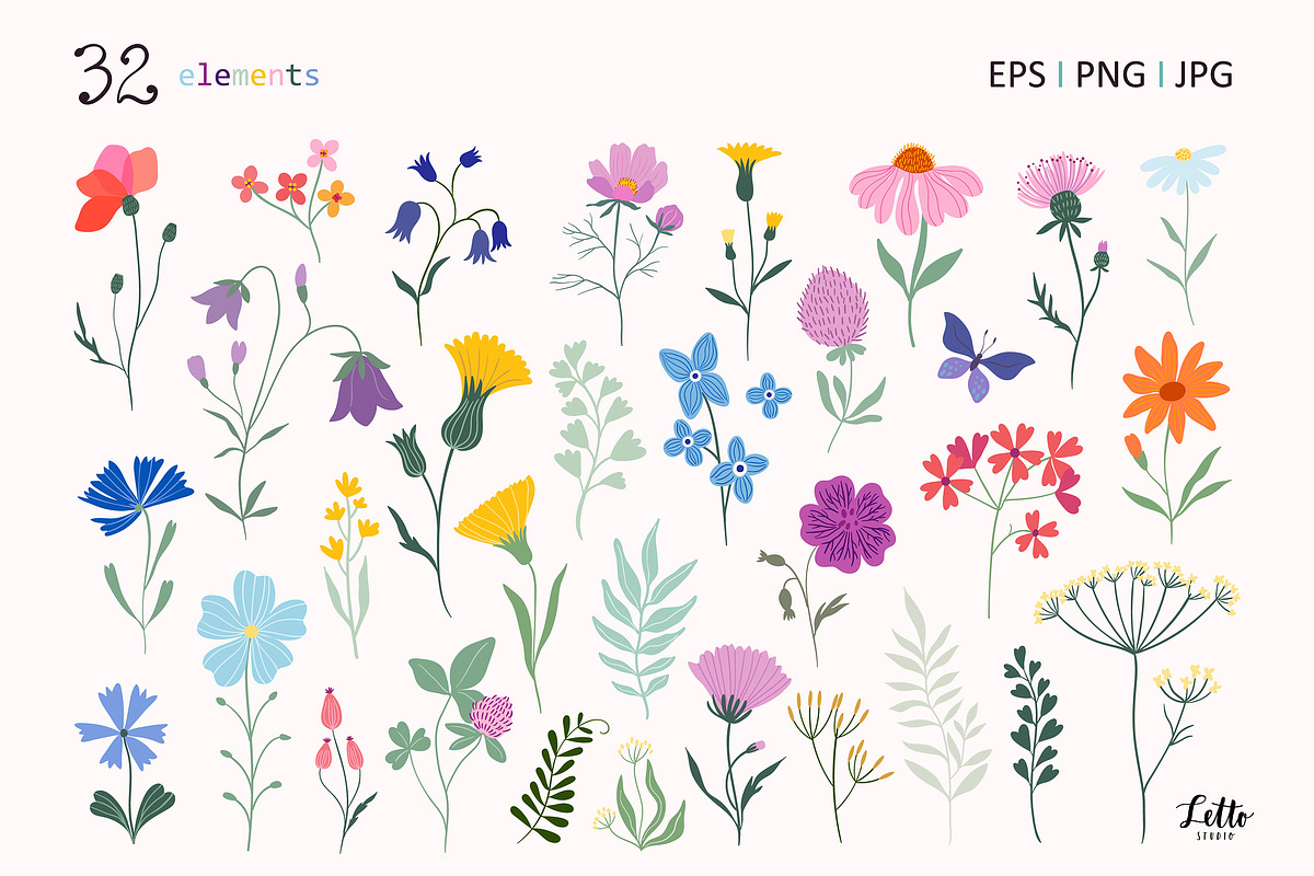 Meadow flowers collection, an Illustration by Letto studio (Photo 6 of 7)