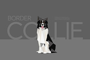 Farm Animals Pack in Low Poly Style, an Illustration by Volkan Aydemir (Thumbnail 4 of 12)