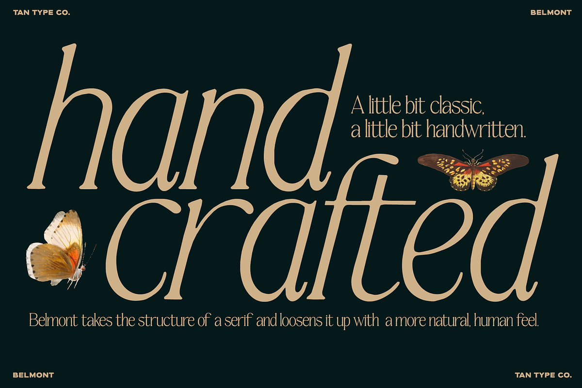 TAN-BELMONT-HANDWRITTEN SERIF, a Serif Font by TanType (Photo 9 of 10)