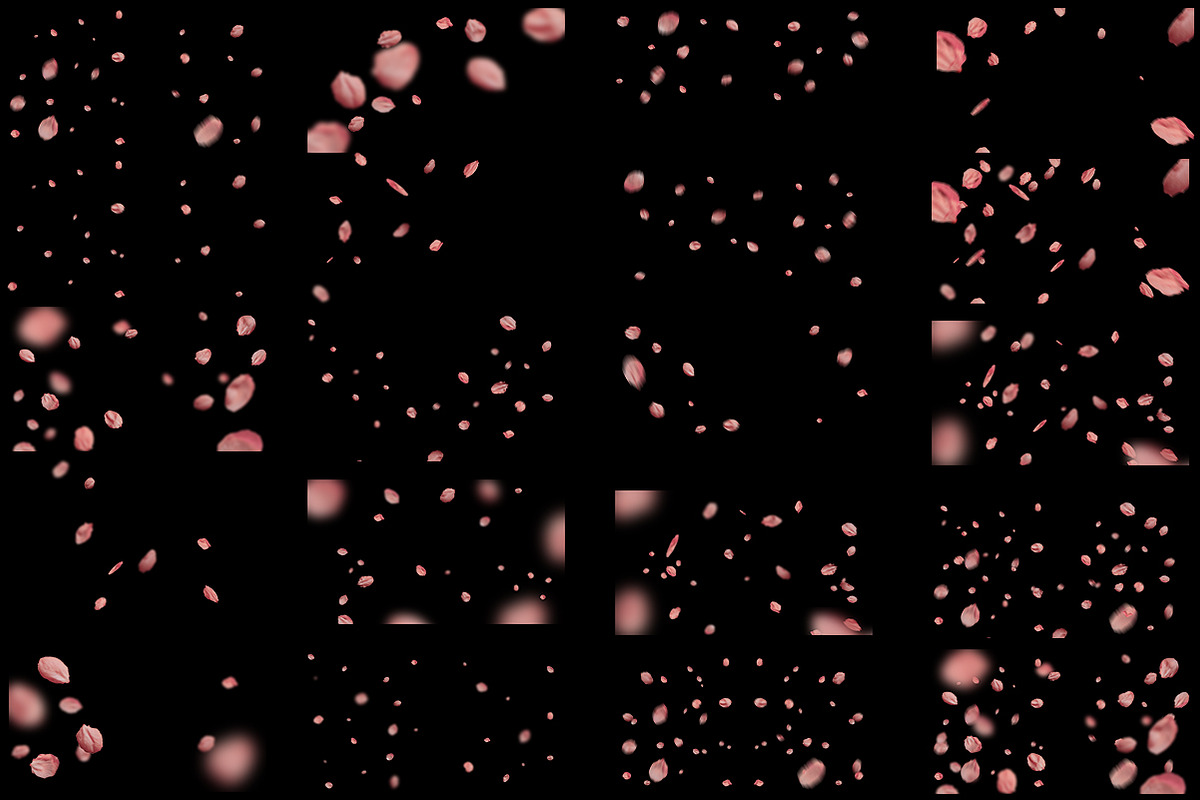 5K Petals Overlays, an Object Graphic by ArtPlanet (Photo 4 of 12)