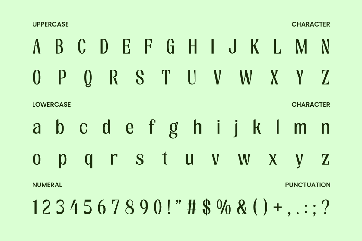 Waldien Modern Editorial Sans Font, a Sans Serif Font by Rasio Studio (Photo 2 of 11)