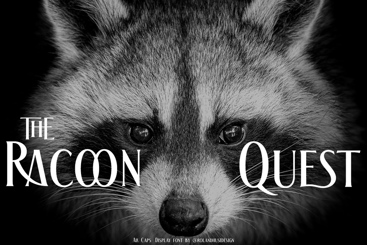 The Racoon Quest, a Serif Font by Roland Huse Design (Photo 1 of 7)