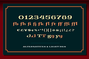Aysgarth Ornate Pixel Font, a Font by SelfBuild Type (Thumbnail 4 of 6)