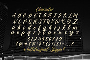 Vagnotie - Modern Brush Font, a Script Font by StringLabs (Thumbnail 10 of 11)