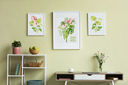 Tropical Flowers. Exotic flora set, an Illustration by Tata Pilip (Thumbnail 5 of 21)