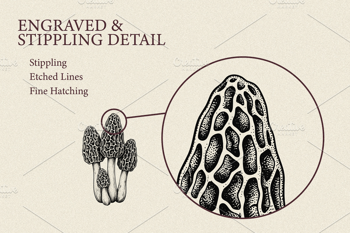 35 Mushrooms & Fungi–Engraved Vector, an Object Graphic by Gonez Studio (Photo 9 of 13)