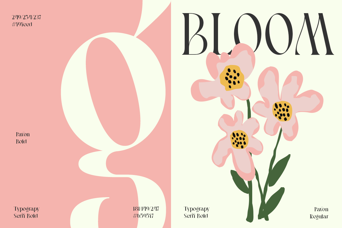 Pavon - 6 Tropic Family, a Serif Font by Dharmas Studio (Photo 4 of 16)