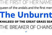 Maiden (Complete Family), a Sans Serif Font by Deltatype (Thumbnail 4 of 7)