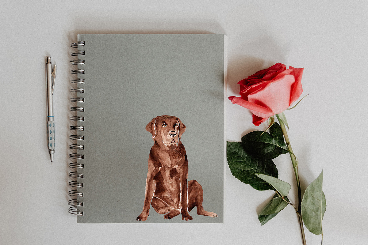 Watercolor Chocolate Labrador Dog, an Illustration by Foxery Digital (Photo 5 of 5)