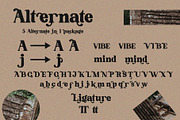 Good shift font, a Serif Font by made_by_nope (Thumbnail 3 of 6)